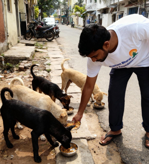 Untitled design (39)